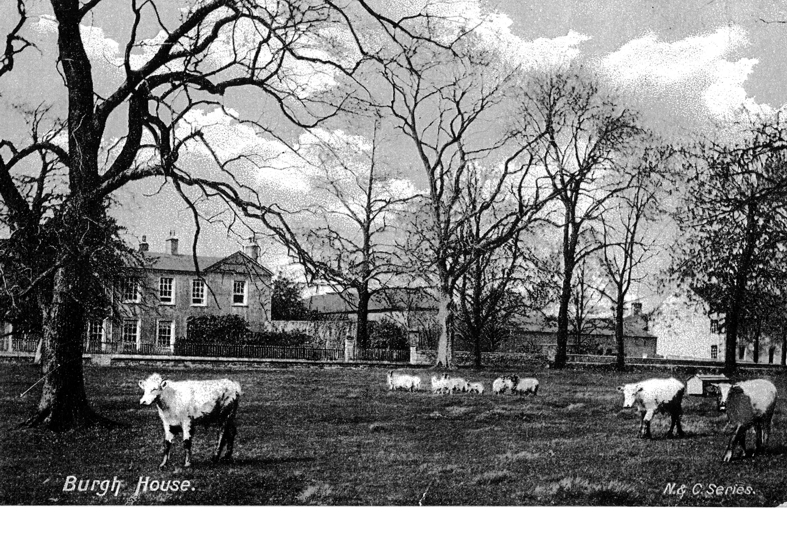 Heritage Website Scan (24)
